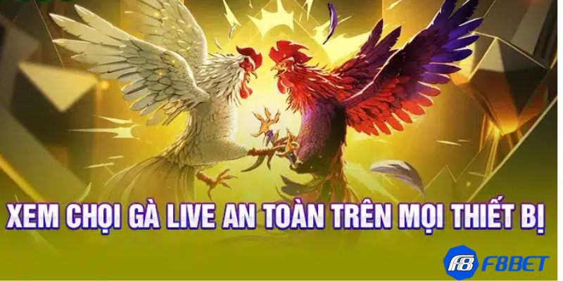 Đá gà live là gì?