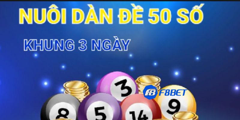 Lưu ý quan trọng nhất khi nuôi dàn đề 50 số nuôi khung 3 ngày