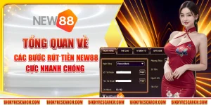 Rút tiền New88