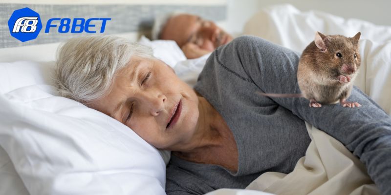 Người chơi nên điều chỉnh lại chiến lược khi nằm mơ thấy chuột