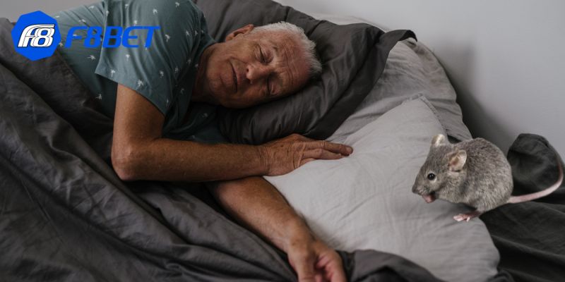 Người chơi cần xác định một chiến lược hữu ích, lâu dài khi nằm mơ thấy chuột