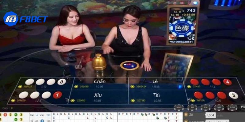 Thuật toán xóc đĩa cung cấp một cách đơn giản để mô phỏng quá trình ngẫu nhiên trong nhiều lĩnh vực