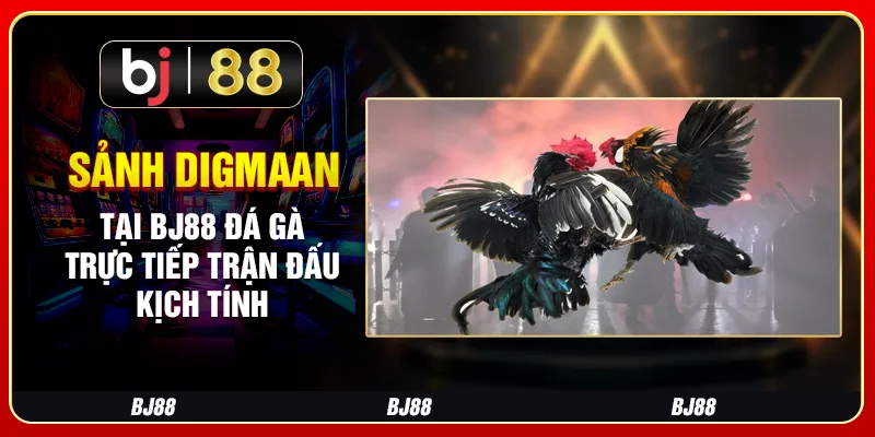 Sảnh Digmaan Tại Bj88 Đá Gà – Trực Tiếp Trận Đấu Kịch Tính