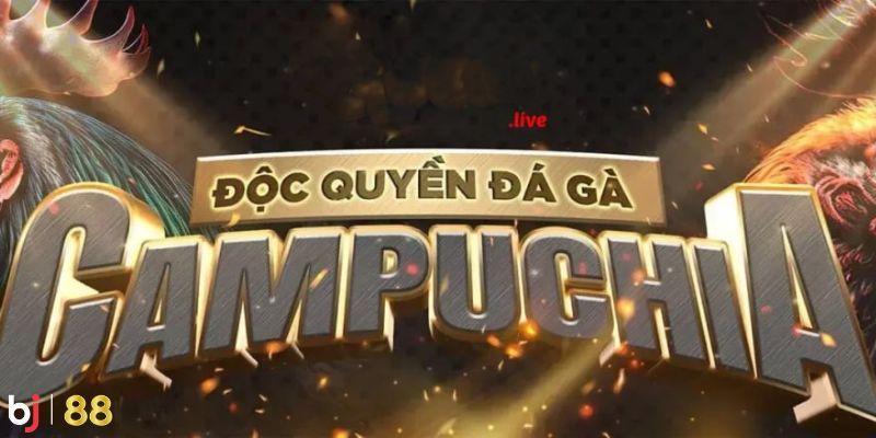 Sảnh cược uy tín hàng đầu