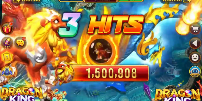 Các loại cá và cách săn bắn