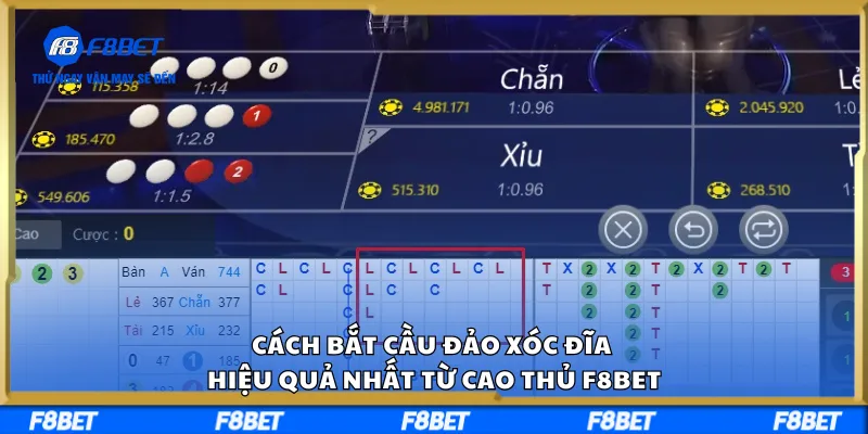 Cách Bắt Cầu Đảo Xóc Đĩa Hiệu Quả Nhất Từ Cao Thủ F8BET